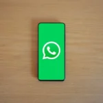 logicalshout updates whatsapp